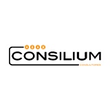 Consilium Consultores
