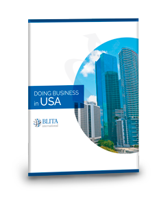 icon-business-guide-united-states